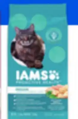 Walmart IAMS Dry Cat Food offer