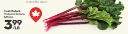 Longo's Fresh Rhubarb offer