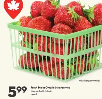 Longo's Sweet Ontario Strawberries offer