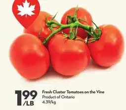 Longo's Fresh Cluster Tomatoes on the Vine offer