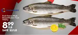 Longo's Fresh Ontario Whole Dressed Rainbow Trout offer