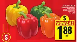 Food Basics RED, YELLOW OR ORANGE PEPPERS, GREEN PEPPERS offer