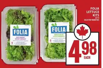 Food Basics FOLIA LETTUCE KITS offer