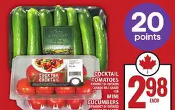 Food Basics COCKTAIL TOMATOES OR MINI CUCUMBERS offer