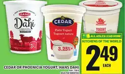 Food Basics CEDAR OR PHOENICIA YOGURT, HANS DAHI offer