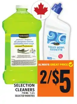 Food Basics SELECTION CLEANERS offer