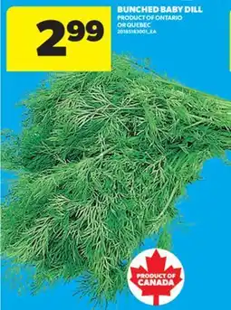 Real Canadian Superstore BUNCHED BABY DILL offer