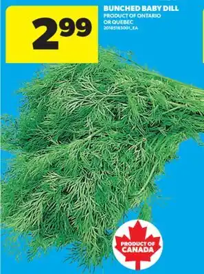 Real Canadian Superstore BUNCHED BABY DILL offer