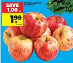 Real Canadian Superstore ROYAL GALA APPLES offer