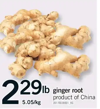 Fortinos GINGER ROOT offer