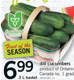 Fortinos DILL CUCUMBERS, 3 L BASKET offer