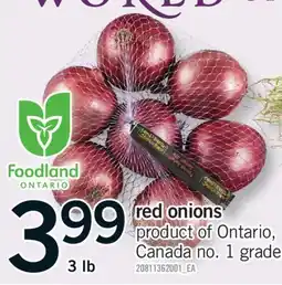 Fortinos RED ONIONS 3 LB offer