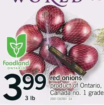 Fortinos RED ONIONS 3 LB offer