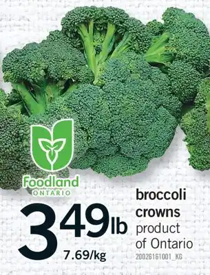Fortinos BROCCOLI CROWNS offer