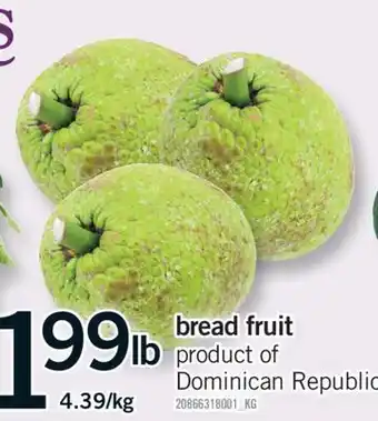 Fortinos BREAD FRUIT offer