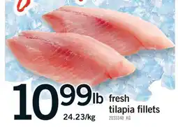 Fortinos FRESH TILAPIA FILLETS offer