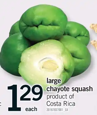 Fortinos LARGE CHAYOTE SQUASH offer