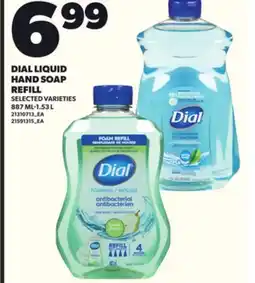 Loblaws DIAL LIQUID HAND SOAP REFILL, 887ML-1.53L offer