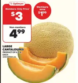 Loblaws LARGE CANTALOUPES offer
