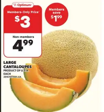 Loblaws LARGE CANTALOUPES offer