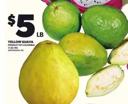 Loblaws YELLOW GUAVA offer