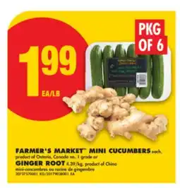No Frills FARMER'S MARKET MINI CUCUMBERS, PKG OF 6 OR GINGER ROOT offer