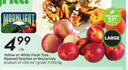 Sobeys Yellow or White Flesh Tree Ripened Peaches or Nectarines offer