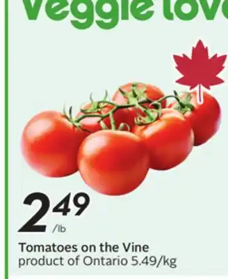 Sobeys Tomatoes on the Vine offer