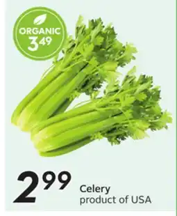Sobeys Celery offer