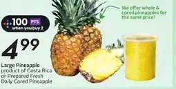 Sobeys Large Pineapple Cored offer