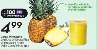 Sobeys Large Pineapple Cored offer