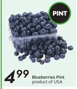 Sobeys Blueberries offer