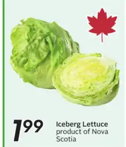 Sobeys Iceberg Lettuce offer