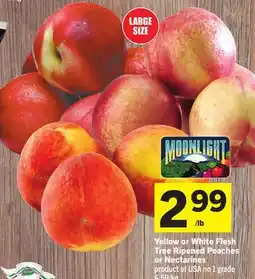 Foodland Yellow or White Flesh Tree Ripened Peaches or Nectarines offer