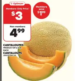 Independent Grocer CANTALOUPES offer