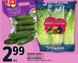 Metro ROMAINE HEARTS, MINI CUCUMBERS offer
