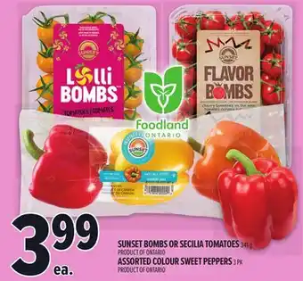 Metro SUNSET BOMBS OR SECILIA TOMATOES offer