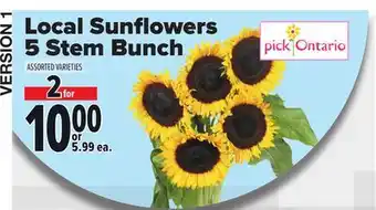 Metro LOCAL SUNFLOWERS 5 STEM BUNCH offer