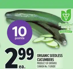 Metro ORGANIC SEEDLESS CUCUMBERS offer