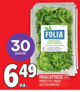 Metro FOLIA LETTUCES offer