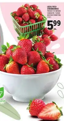 Metro LOCAL FIELD STRAWBERRIES offer