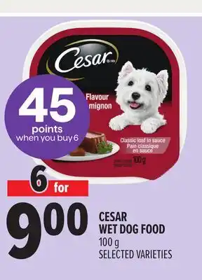 Metro CESAR WET DOG FOOD offer