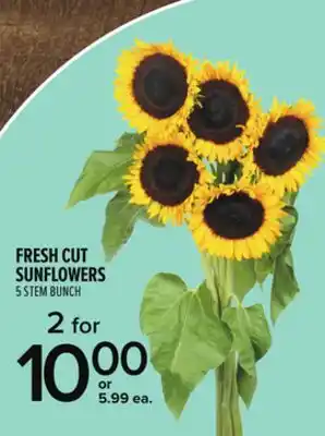 Metro FRESH CUT SUNFLOWERS offer