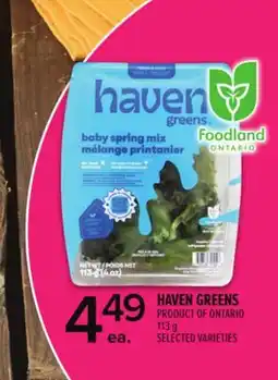 Metro HAVEN GREENS offer