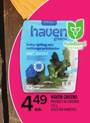 Metro HAVEN GREENS offer