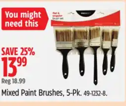 Canadian Tire Mixed Paint Brushes, 5-Pk offer