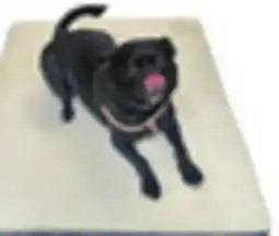 Canadian Tire Memory Foam Dog Bed, 36 x 27 offer