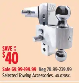 Canadian Tire Reese Selected Towing Accessories offer