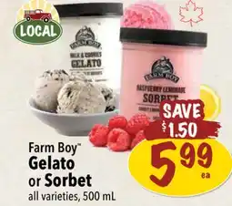Farm Boy Farm Boy Gelato or Sorbet offer