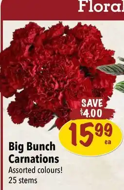 Farm Boy Big Bunch Carnations offer